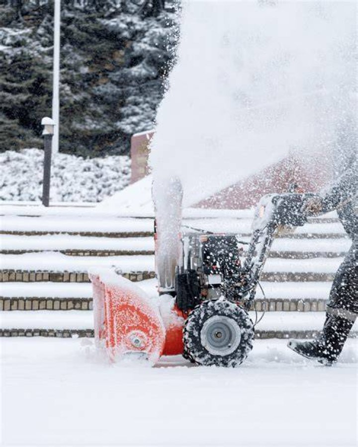 snow はるちゃん プロフィール 活動 見どころ